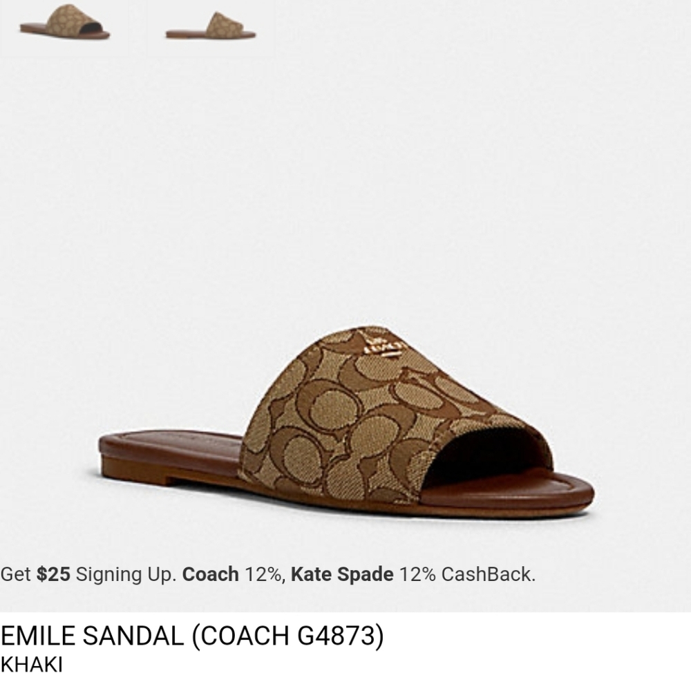 I am searching to buy these coach sandals